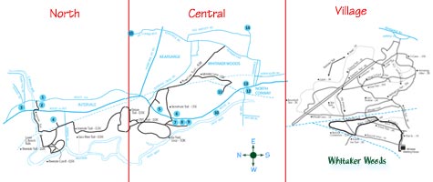 Mt Washington Snowshoe Trail Map Cross Country Ski And Snowshoe Trails Of Mt. Washington Valley Ski Touring  And Snowshoe Foundation
